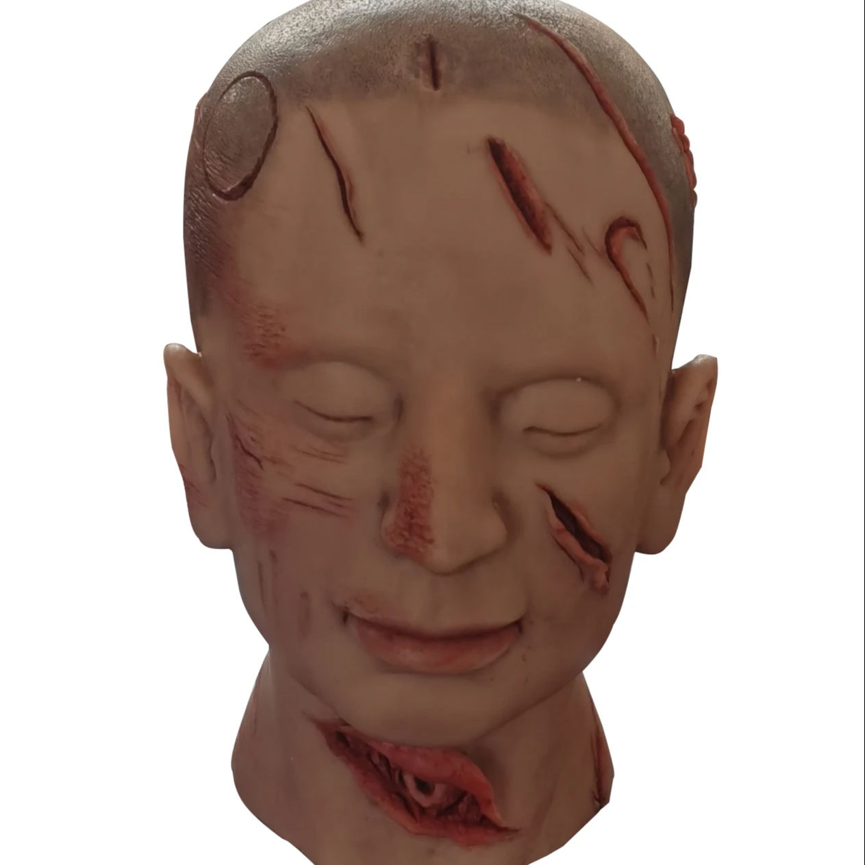 Forensic Anatomical Model for educations
