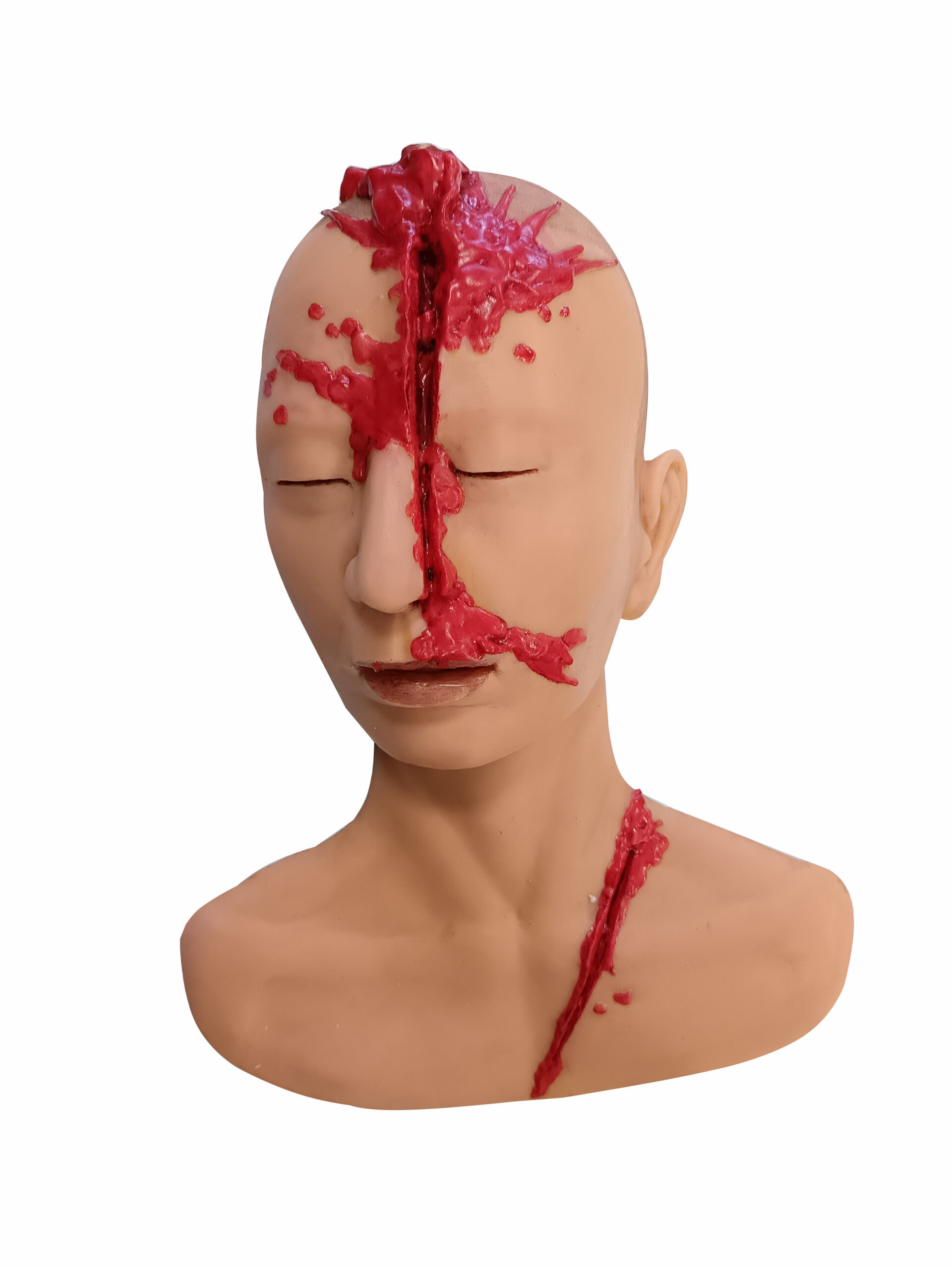Forensic Anatomical Model for educations